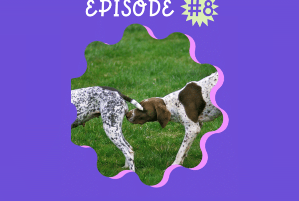 episode de podcast feministe sur les animaux