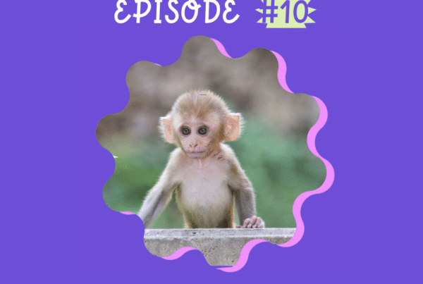 Episode 10 Madame a du chien